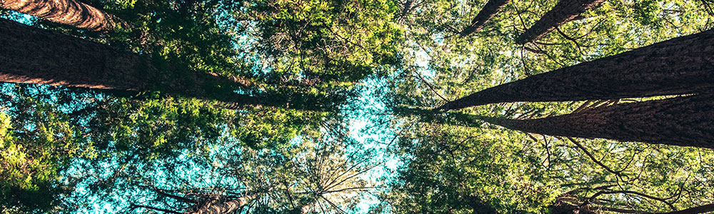 Nature-Conservation-EX